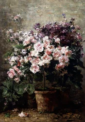Floral Composition