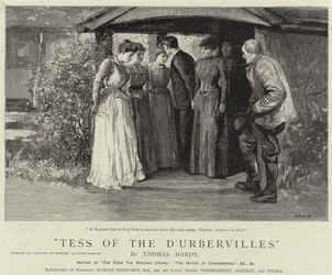 Tess of the D