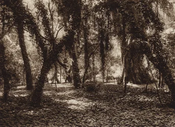 Mexico: Idyllic spot in Chapultepec park