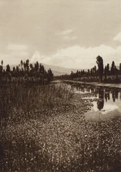 Mexico: Xochimilco, One of the Main Canals