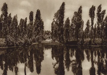 Mexico: Xochimilco with the so-called "Floating Gardens"