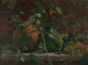 Still Life