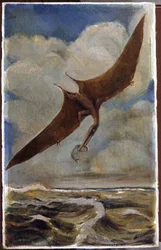 A pterodactyl