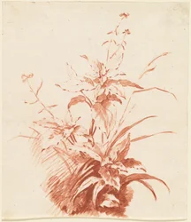 Flowering Plant with Grass