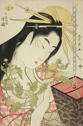The Courtesan Tsukioka of the Hyogoya