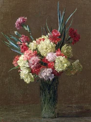 Carnations