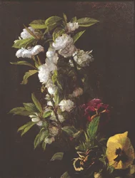 Flowers, 1876