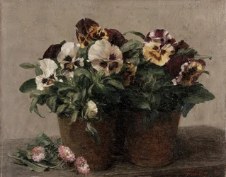 Still Life of Pansies and Daisies