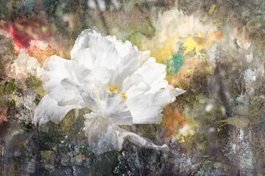Dreamy White Blossom