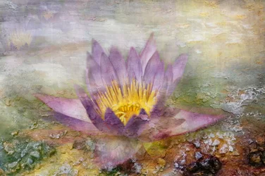 Ethereal Purple Lotus