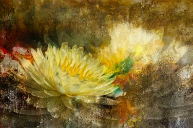Golden Lotus Bloom