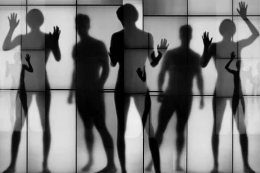 Abstract Silhouettes