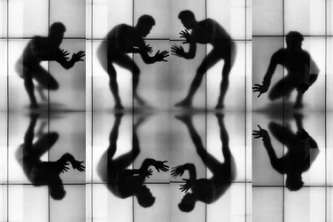 Dynamic Silhouettes Reflected
