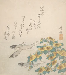 Fishes Swimming with Yellow Flowers