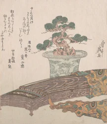 Potted Pine Tree and Koto Japanese Harp