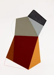 Geometric Color Forms