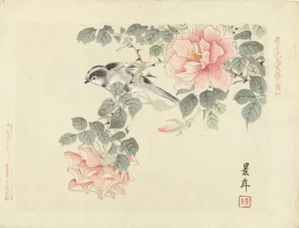 Black-and-white bird among pink roses - Flower and bird sketches by Keinen (series title) - Keinen kacho gafu (series title on object)