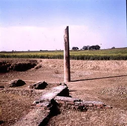 Pillar of Emperor Ashoka (c.264-223 BC) Mauryan
