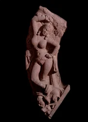 Damsel mounting on a dwarf