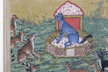 (detail) The Jackal who Pronounced Himself King