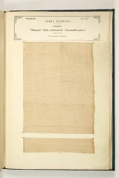 Dungary Cloth, Salem, Madras, from The Collection of the Textile Manufacturers of India, by John Forbes Watson, published in 1866