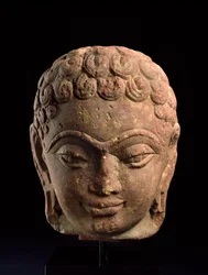 Head of a Jain Tirthankara, Mathura Region, Kushan period, 3rd-4th century AD