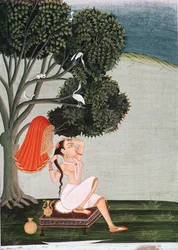 Indian lady at her toilet dressing her hair