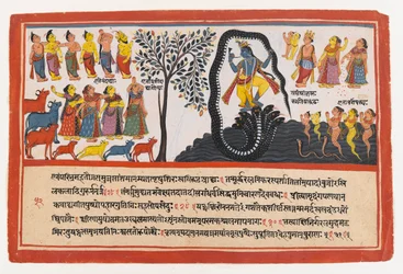 Krishna Conquers the Serpent Kaliya, page from a Dispersed Bhagavata Purana Series