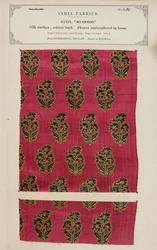 Mushroo satin sample from Hyderabad in Deccan, from The Collection of the Textile Manufacturers of India, by John Forbes Watson, published in 1866