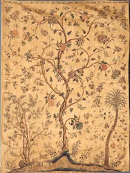Unknown Image