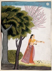 Vipralabdha Nayika