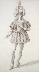 Masquer with feathers and plume