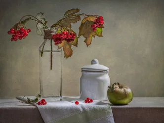 Autumn Berries And Apple