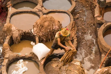 Hides being dyed at the Chouara tannery in Fes, Morocco