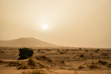 Sand dunes in the Erg Chebbi desert of southeastern Morocco