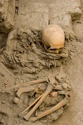 The sacrificial female in the burial with the mummy bundle at Huaca El Brujo