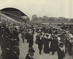 Horse Show, Ball
