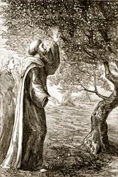 St. Columba Changes Bitter Fruit into Sweet, from The Trias Thaumaturga, or Three Wonder-Working Saints of Ireland, by Mary Cusack (1829-99) Published c.1890s
