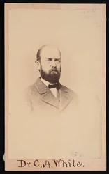 Portrait of Charles Abiathar White 1826-1910, 1868