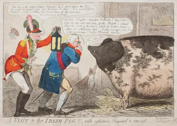 A Visit to the Irish Pig!! With Reflections Physical & Moral