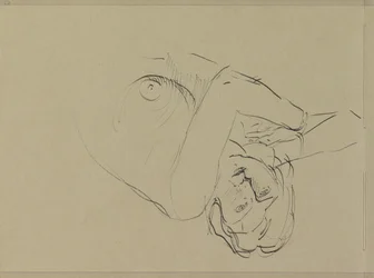 Reclining Female Nude
