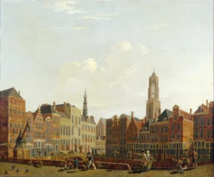 Utrecht Town Hall Bridge with Surroundings