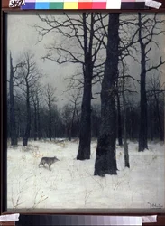 Forest in Winter