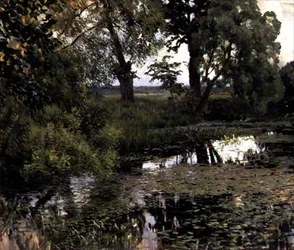 The Overgrown Pond