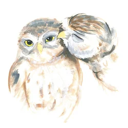 Affectionate Owls