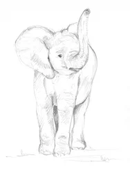 Baby Elephant 02
