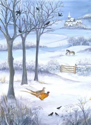 Beauty of a Winter Landscape