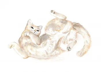 Playful Cat