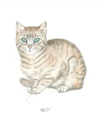 Tabby Cat and Button