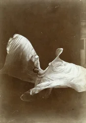 Loie Fuller in La danse Blanche, 1897